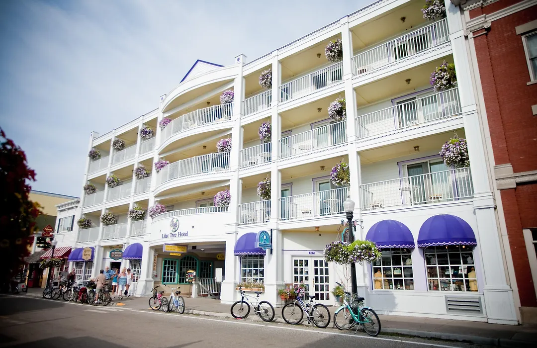 Lilac Tree Suites-1