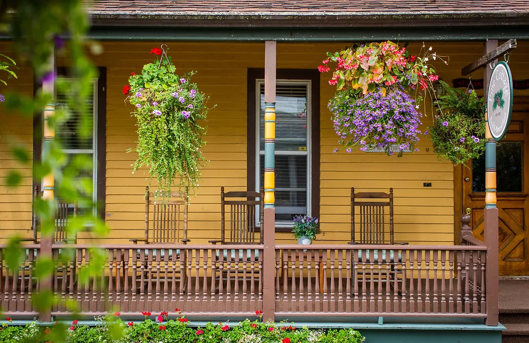 Pine Cottage Bed & Breakfast-1