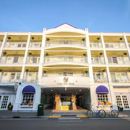 Lilac Tree Suites-2