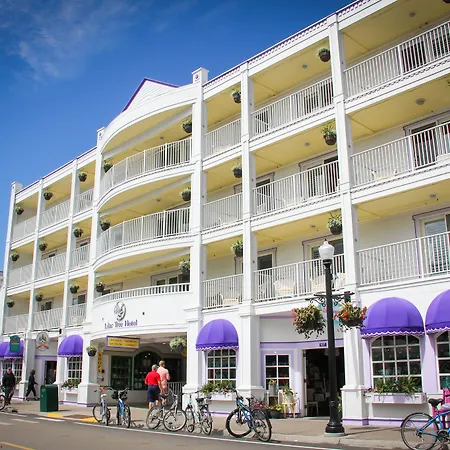 Lilac Tree Suites-3